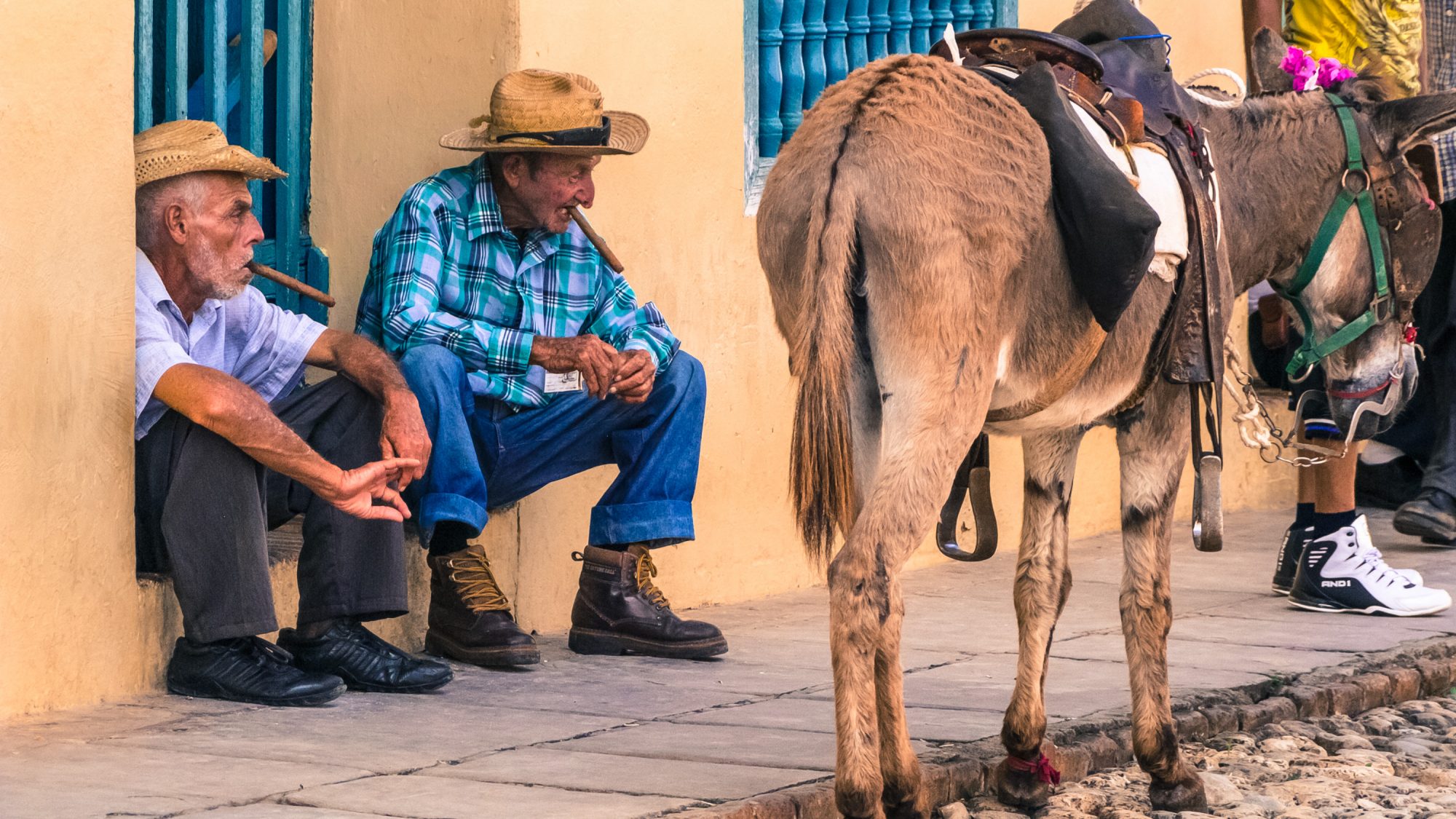 Men with a donkey wait for tourists