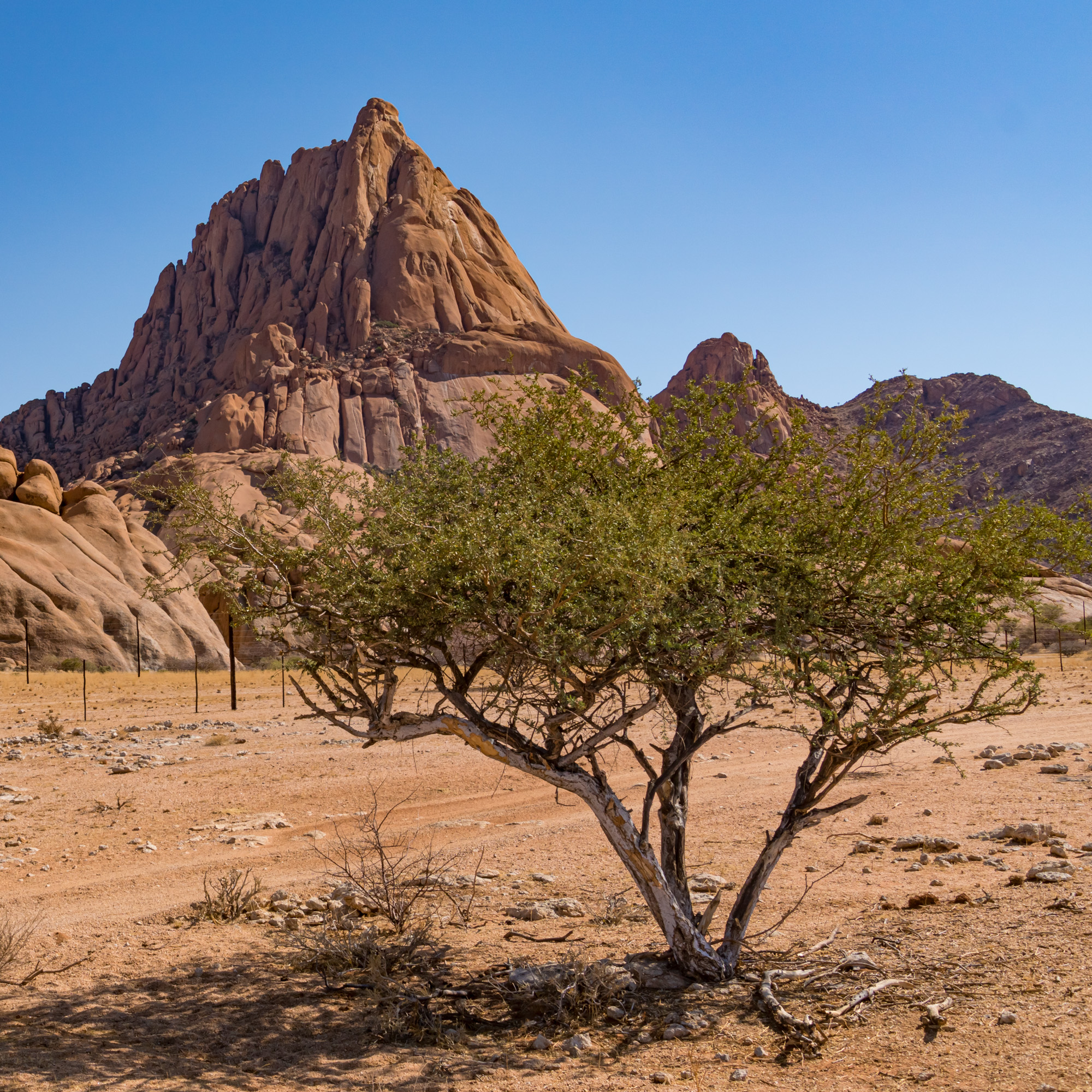 Namibia - Spitzkoppe