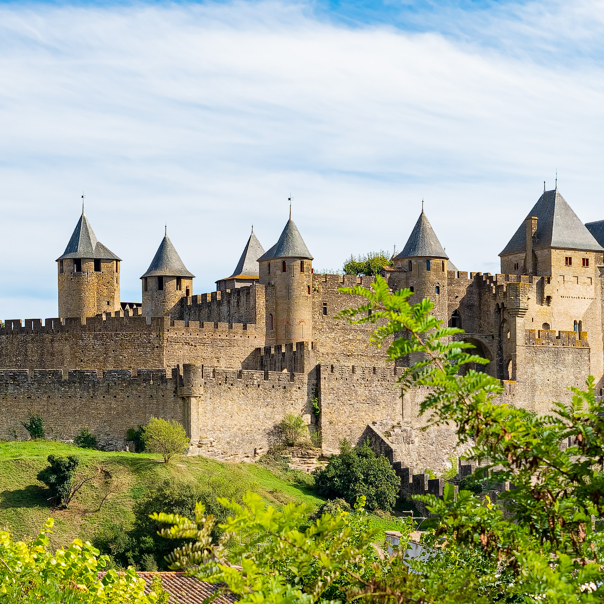 View of Carcassonne